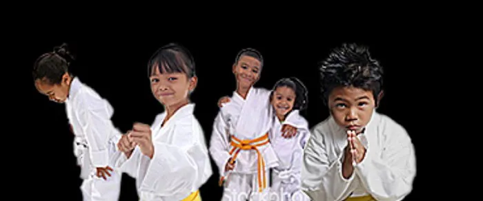 World Champion Martial Arts Picture 10