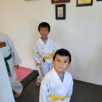 Family Martial Arts and Fitness ico
