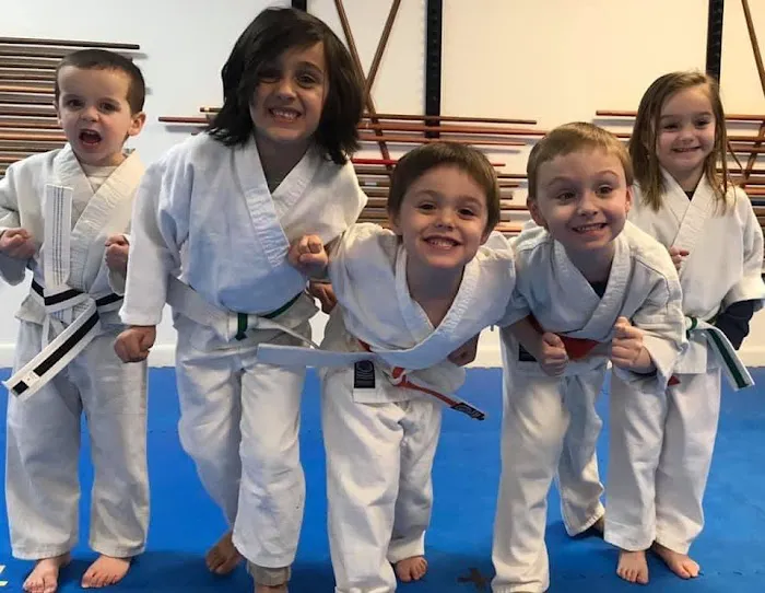 Kenkojuku Karate of South Jersey, LLC Picture 6
