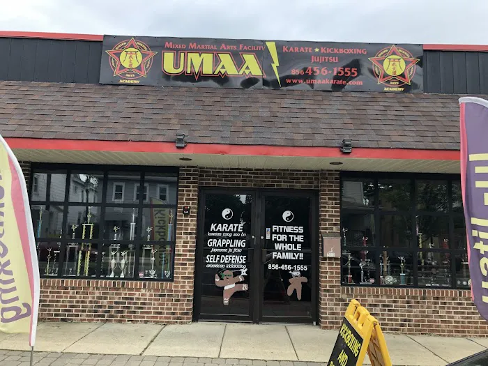 United Martial Arts Academy Picture 5