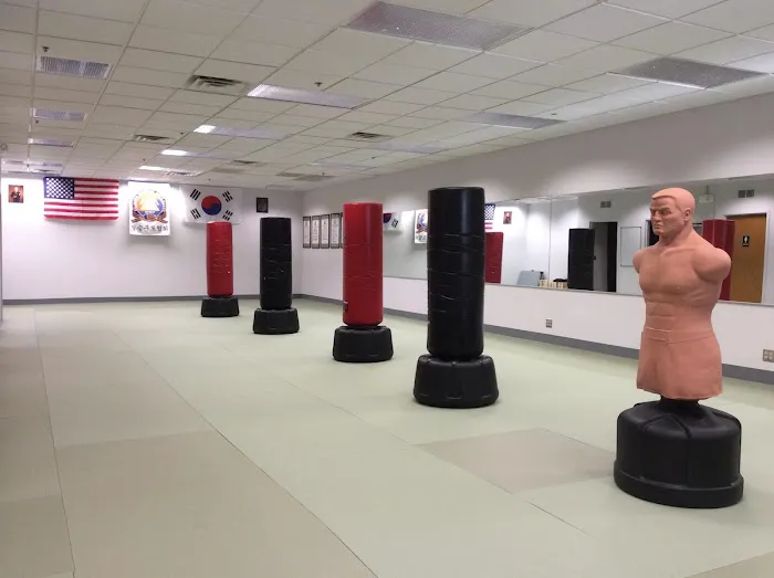 Revolution Martial Arts Institute Picture 1