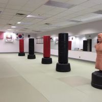 Revolution Martial Arts Institute ico