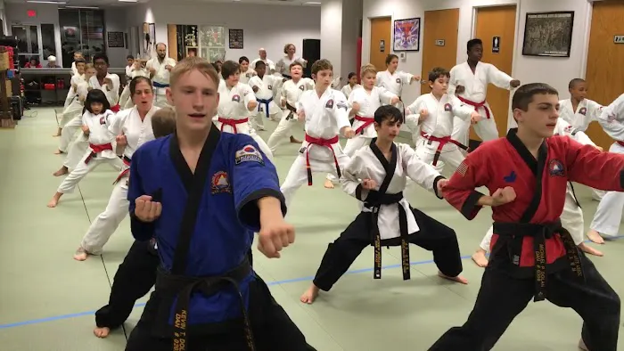Revolution Martial Arts Institute Picture 7