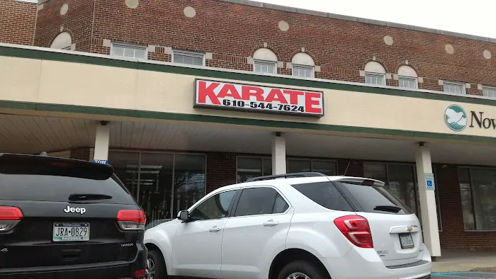 Revolution Martial Arts Institute Picture 3