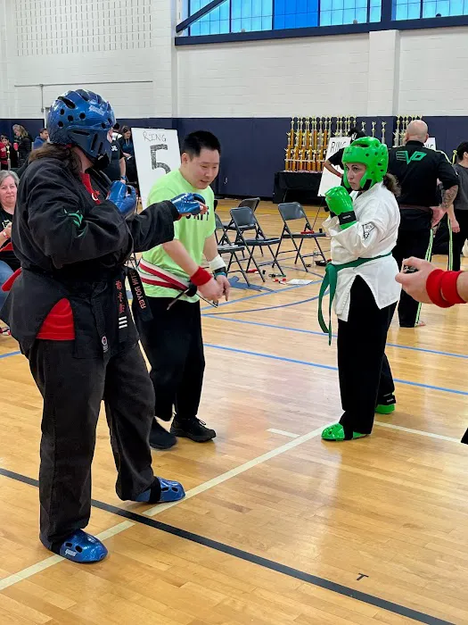 Dragon Force Korean Martial Arts Picture 8
