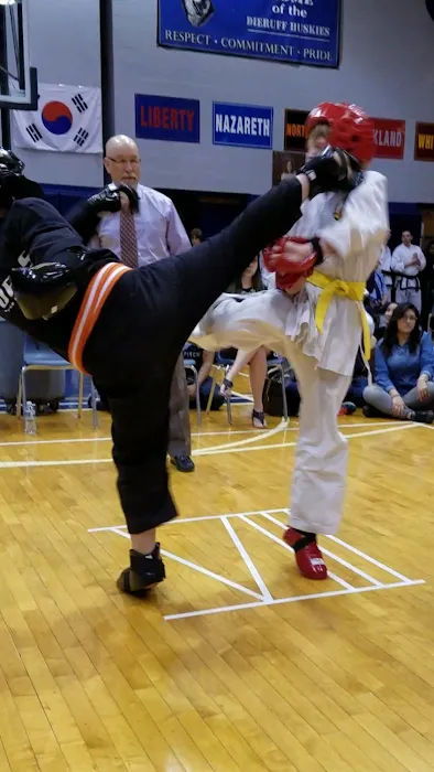 Dragon Force Korean Martial Arts Picture 10