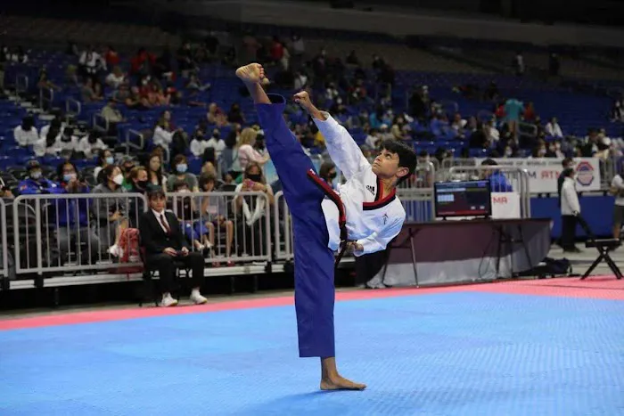 Tiger Kicks Picture 10