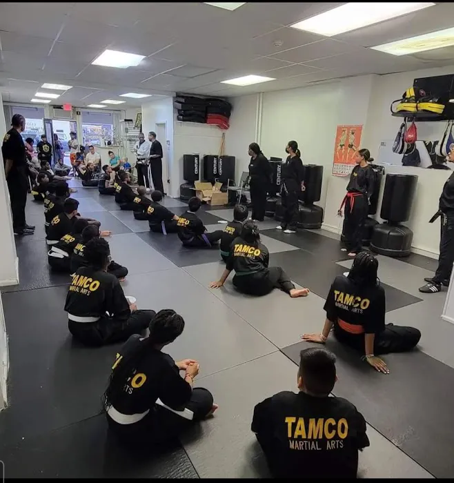 TAMCO MARTIAL ARTS LLC Picture 3