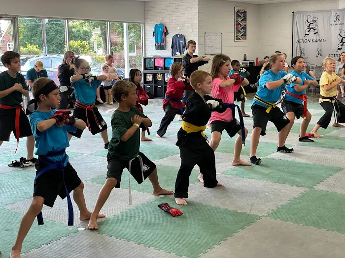 Action Karate Quakertown Picture 1