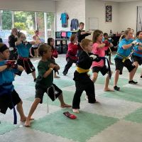 Action Karate Quakertown ico