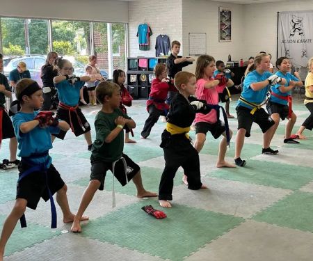 Action Karate Quakertown