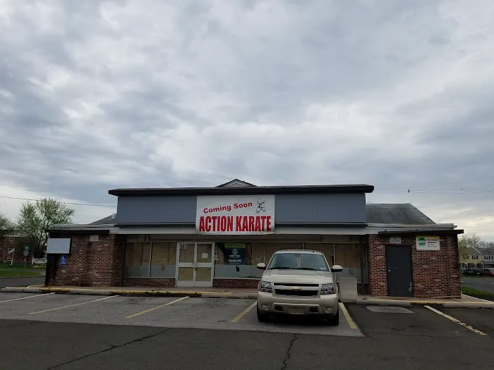 Action Karate Quakertown Picture 2