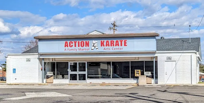 Action Karate Quakertown Picture 3