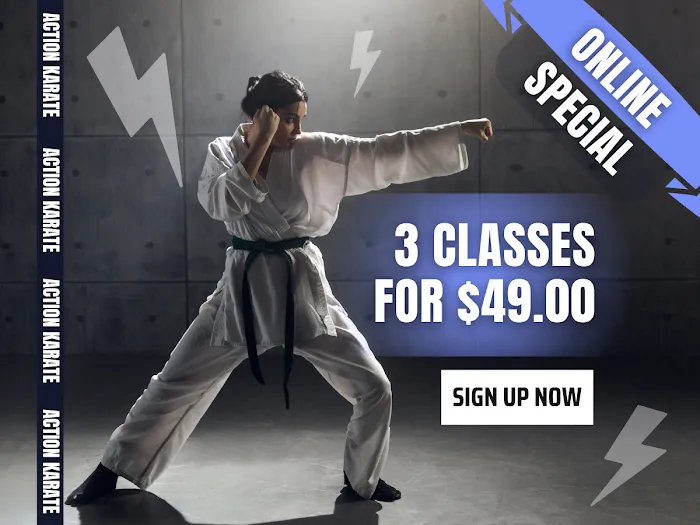 Action Karate Quakertown Picture 8