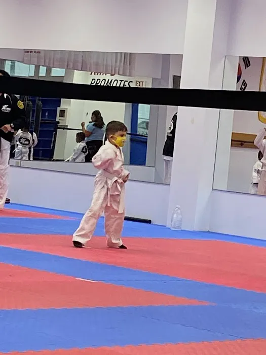 Kim's Black Belt Academy Picture 1