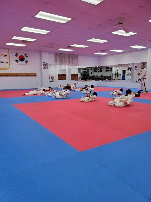 Kim's Black Belt Academy Picture 3
