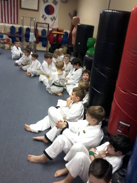 Master Kim's Black Belt Academy Picture 1