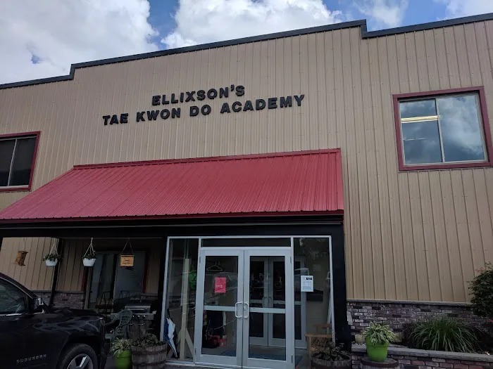 Ellixson’s Tae Kwon Do Academy Picture 2