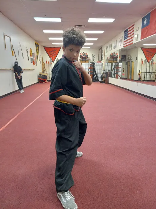 Northern Shaolin Kung Fu and Tai Chi Academy Picture 5