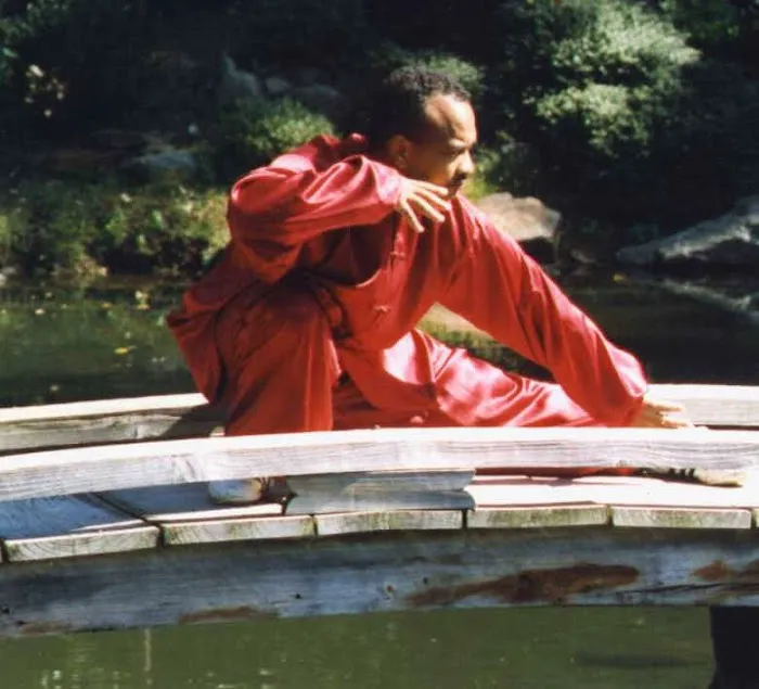 Northern Shaolin Kung Fu and Tai Chi Academy Picture 6
