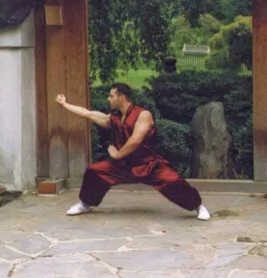 Northern Shaolin Kung Fu and Tai Chi Academy Picture 8