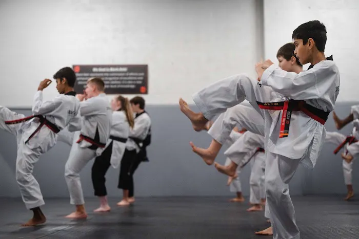 Dragon Gym Malvern - TKD, BJJ, Muay Thai Picture 1