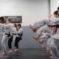 Dragon Gym Malvern - TKD, BJJ, Muay Thai ico