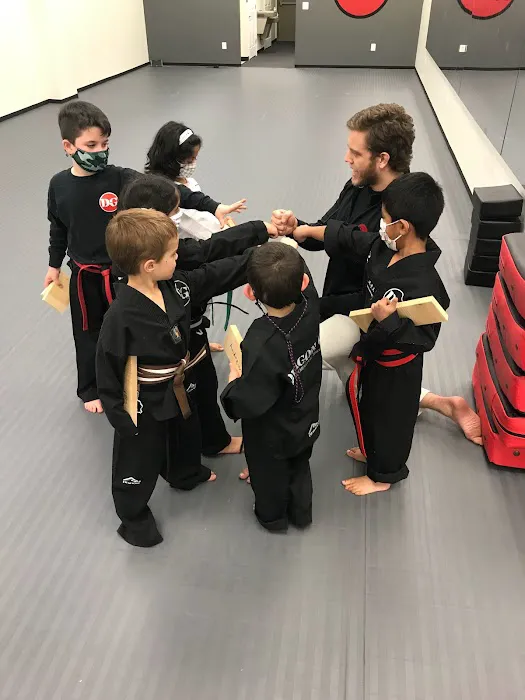 Dragon Gym Malvern - TKD, BJJ, Muay Thai Picture 3