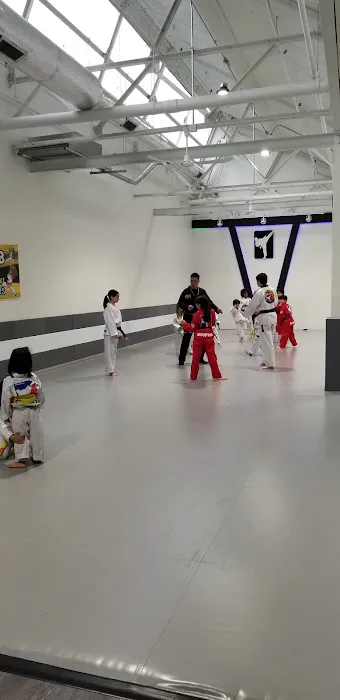 East Rock World Champion Taekwondo Picture 2