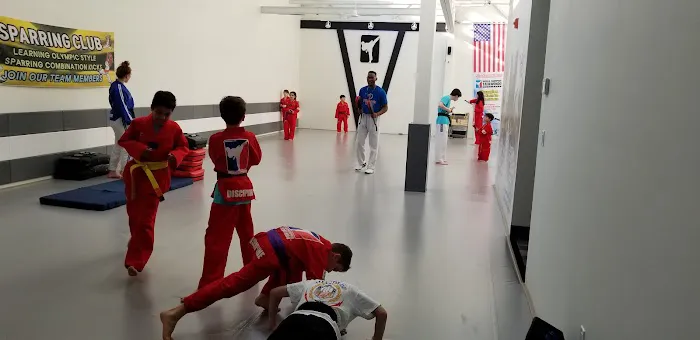 East Rock World Champion Taekwondo Picture 6