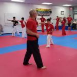 World Champion Taekwondo
