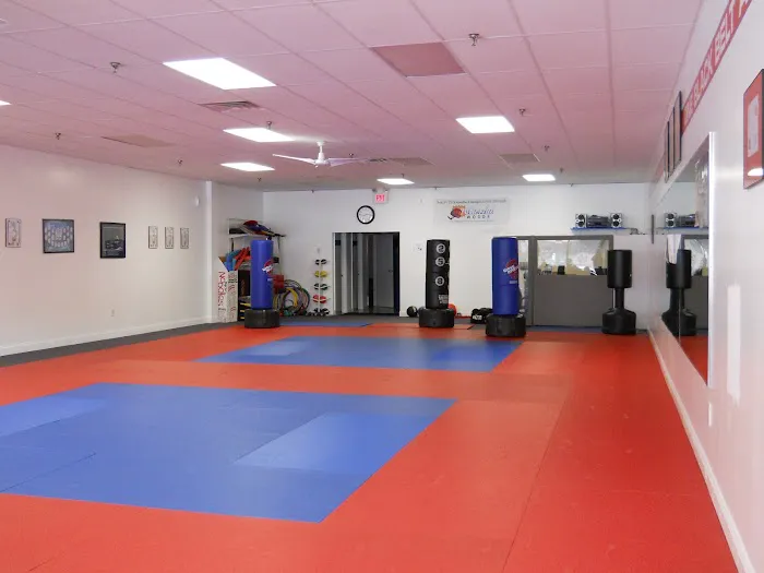 Sokol's Taekwondo LLC Picture 4