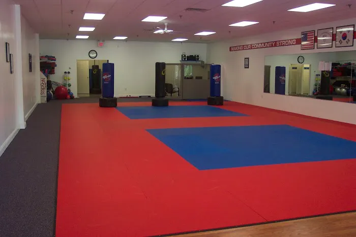 Sokol's Taekwondo LLC Picture 1