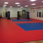Sokol's Taekwondo LLC