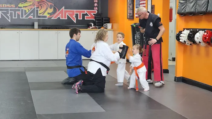 SDSS Martial Arts of Newtown Picture 1
