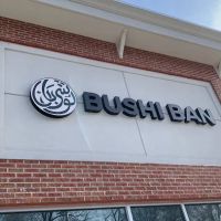 Bushi Ban Shelton ico