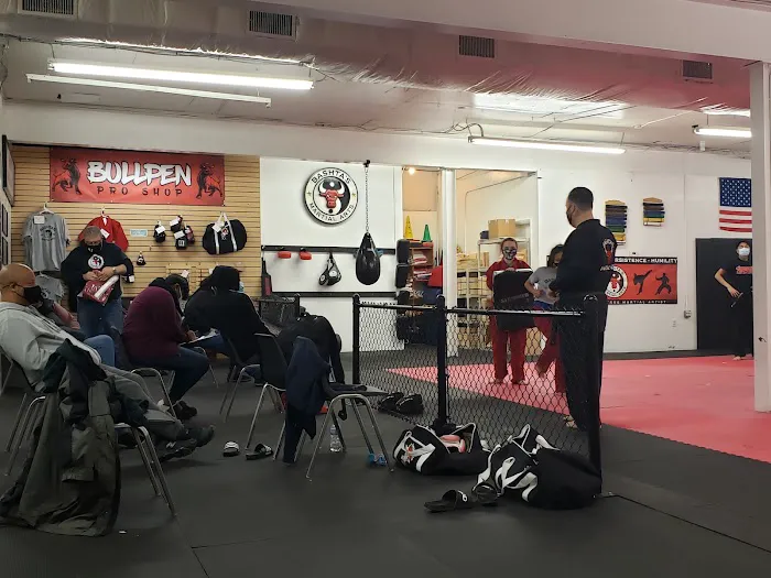Bashta's Martial Arts Picture 2