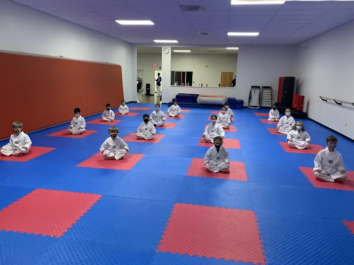 World Champion Tae Kwon Do Picture 4