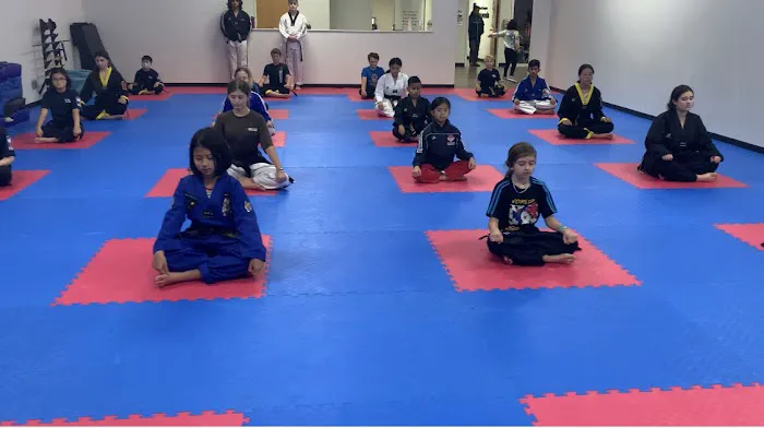 World Champion Tae Kwon Do Picture 9