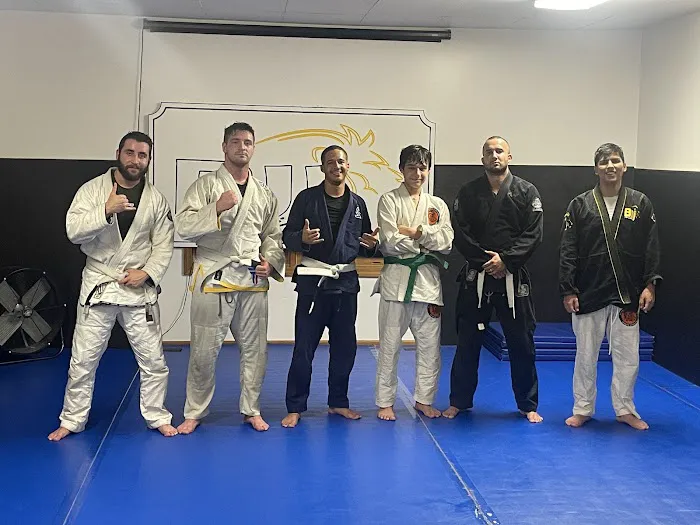 Carlson Gracie Brookfield Jiu Jitsu Picture 5