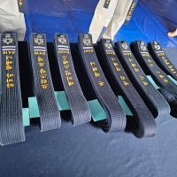 Charland Institute of Karate & Fitness LLC ico