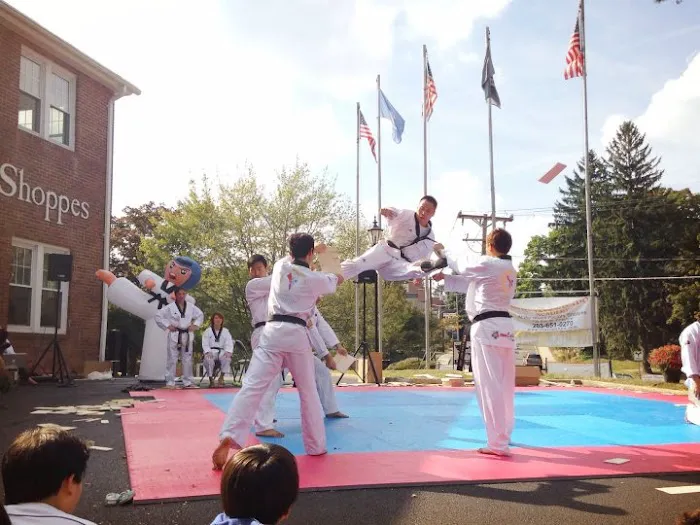 Olympic Taekwondo Academy Picture 6