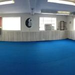 American Institute of Martial Arts