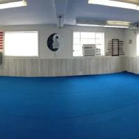 American Institute of Martial Arts ico