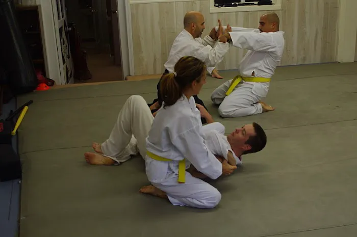 American Institute of Martial Arts Picture 3