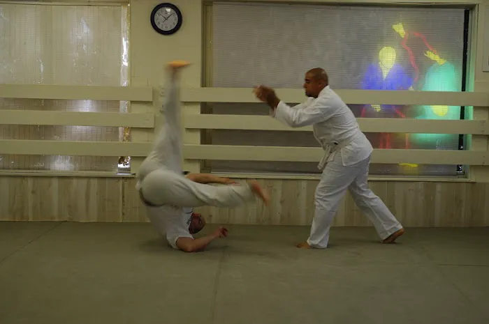 American Institute of Martial Arts Picture 5
