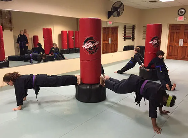 Heijoshin Dojo Picture 4