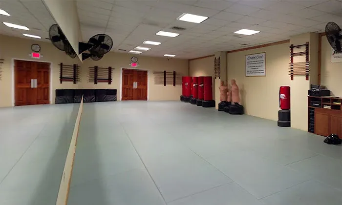 Heijoshin Dojo Picture 5