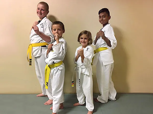 Heijoshin Dojo Picture 2