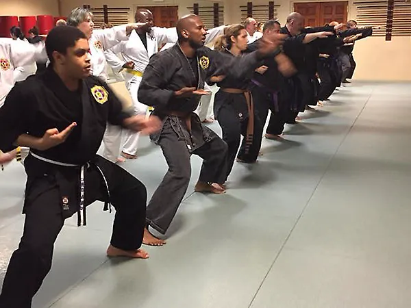 Heijoshin Dojo Picture 9